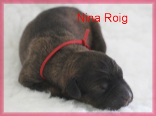 Nina Roig