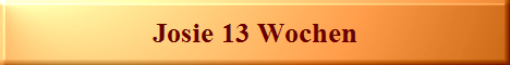 Josie 13 Wochen