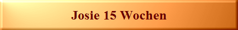 Josie 15 Wochen