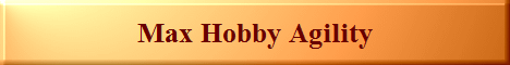 Max Hobby Agility