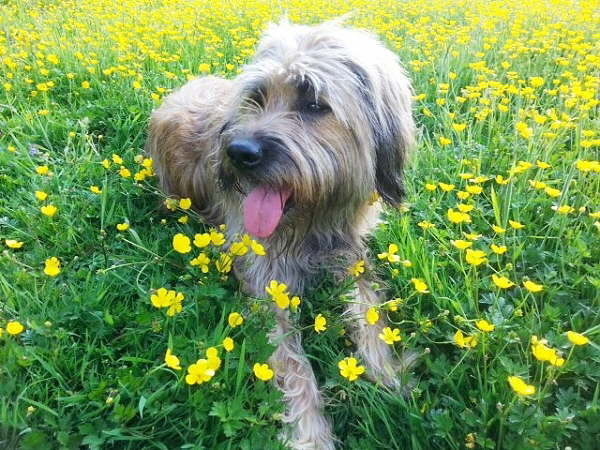 Belana 6 Jahre