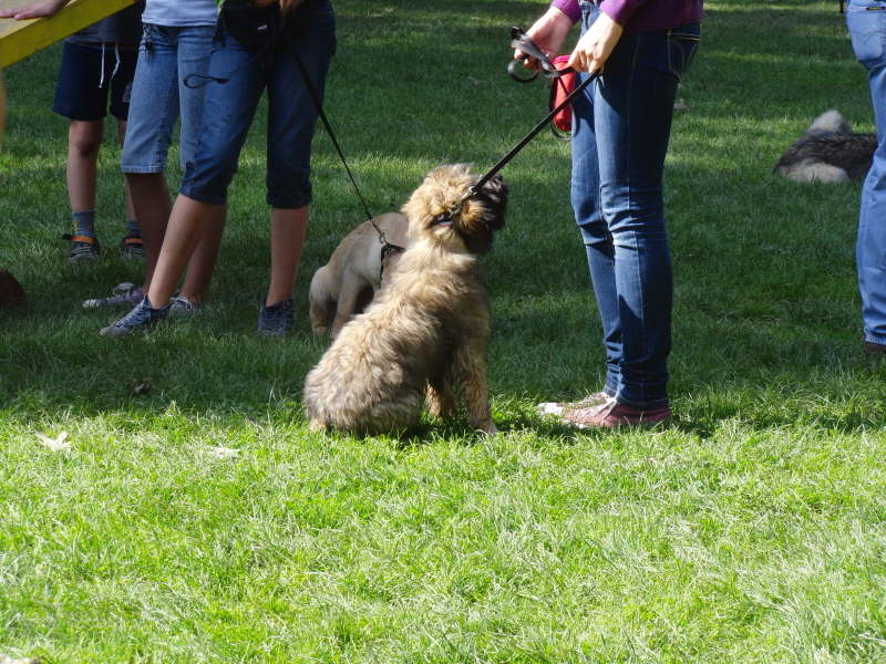 Bangos dritter Monat