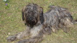 Branka Fr�hjahr 2011