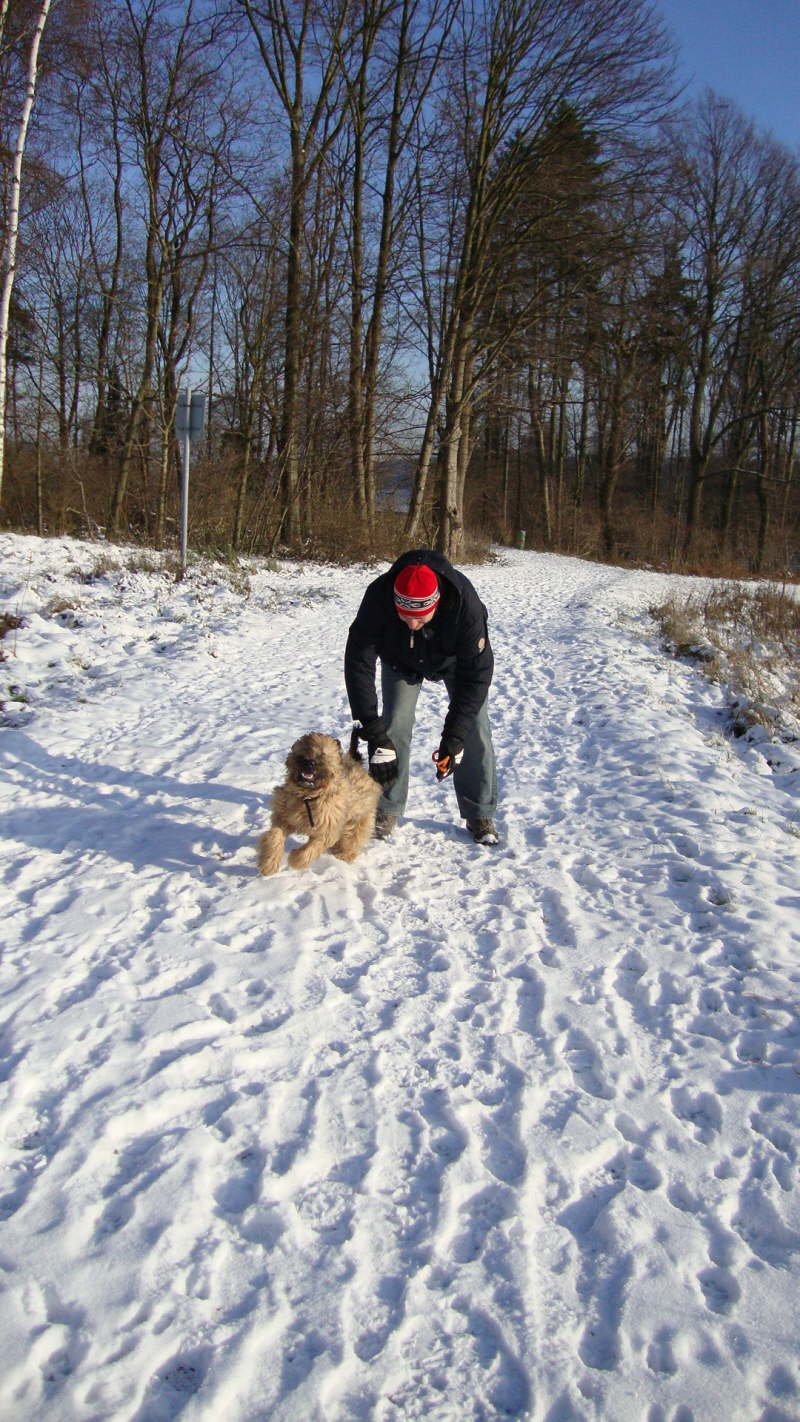 Schneehase Tiesto