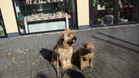 Moselurlaub