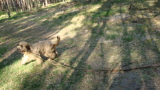 Fr�hjahr 2011