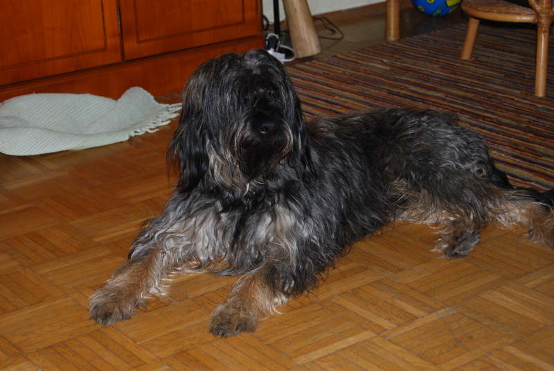 Frhjahr 2012