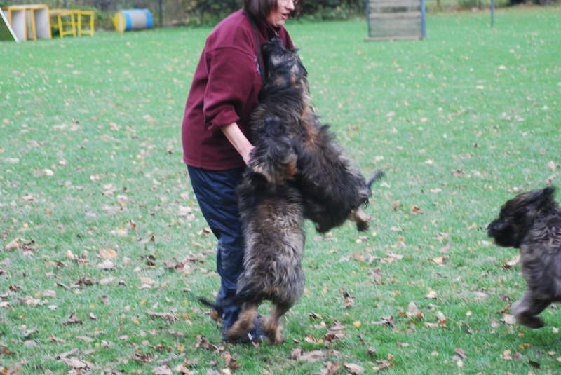 Welpentreffen Nachschlag