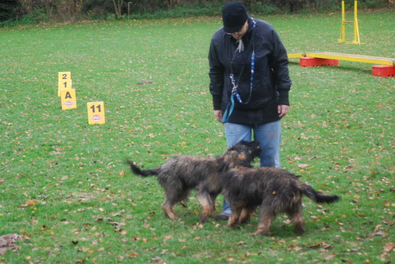 Welpentreffen Nachschlag