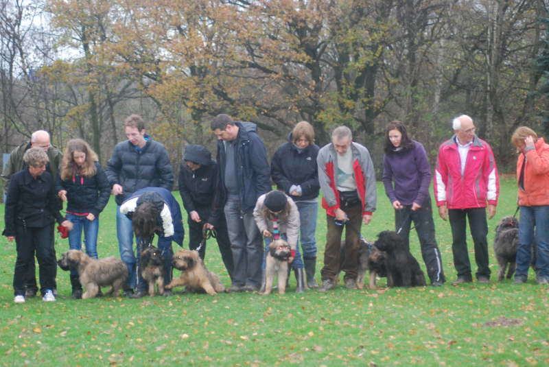 Welpentreffen Nachschlag