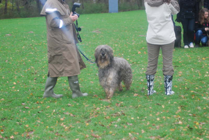 Welpentreffen Nachschlag