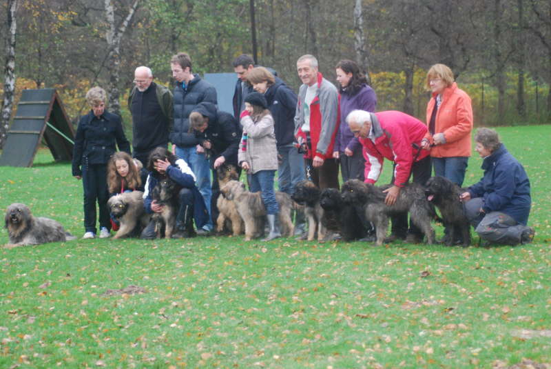 Welpentreffen Nachschlag