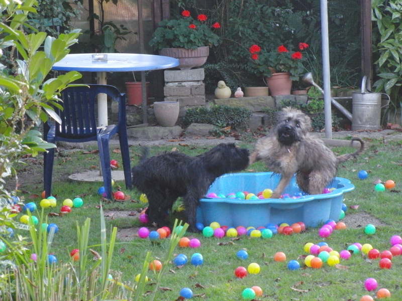 El Fuego del Viento Besuch
