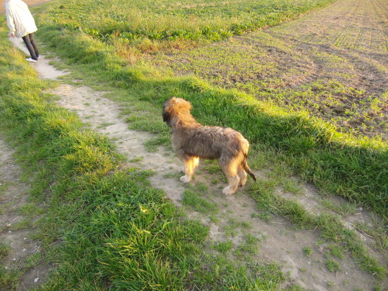 El Fuego del Viento Besuch