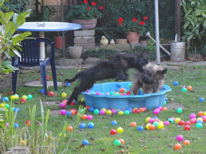 El Fuego del Viento Besuch
