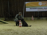 Junghundschule