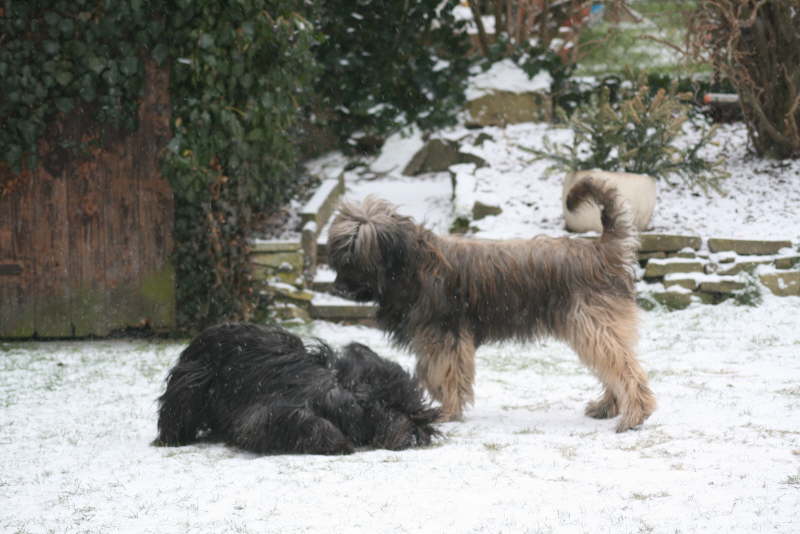 Winter 2013