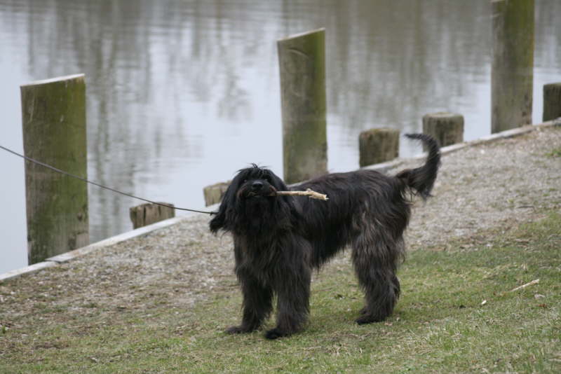 Max in Bayern