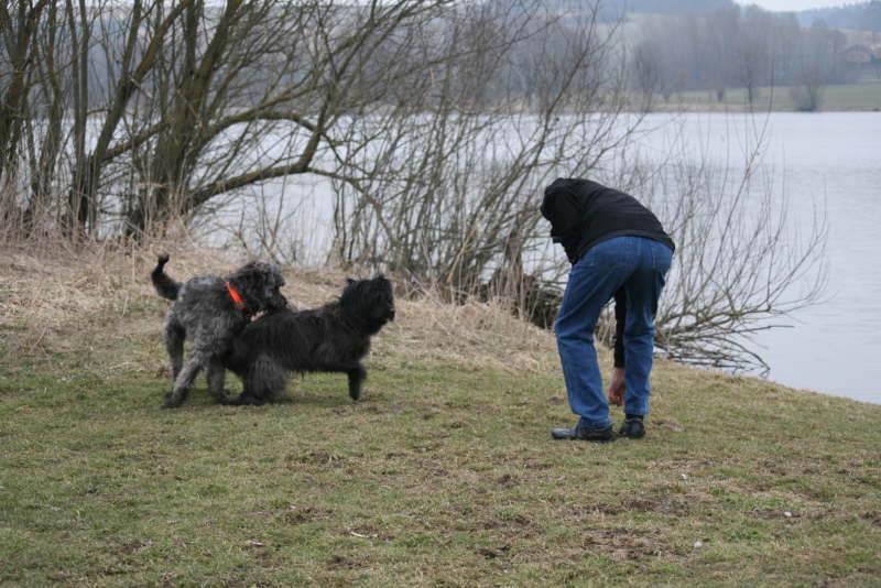Max in Bayern