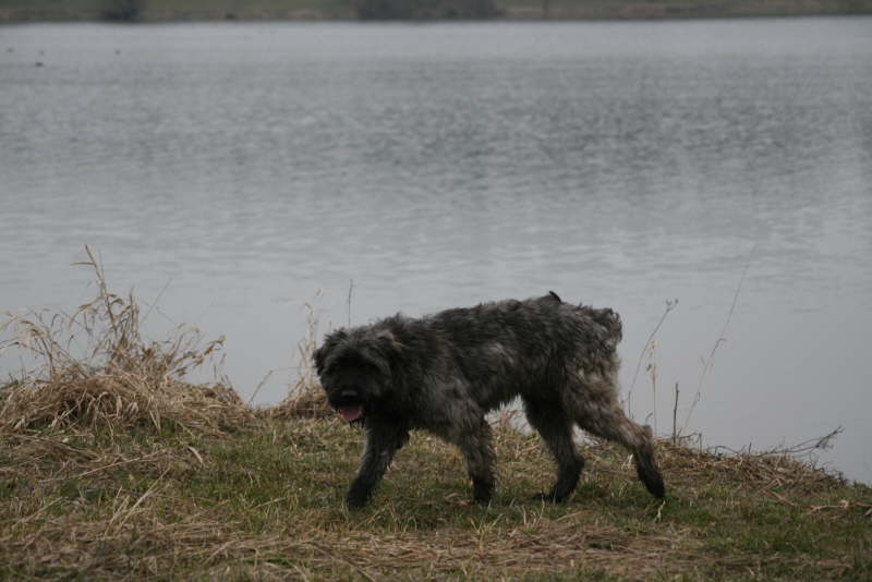 Max in Bayern