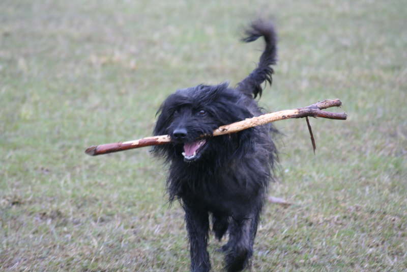 Max in Bayern
