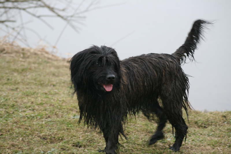 Max in Bayern