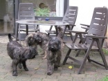 Spielestunde mit Tinos