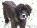 Schneeerfahrungen