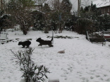 Schneeerfahrungen