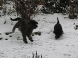 Schneeerfahrungen