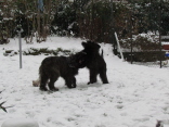 Schneeerfahrungen
