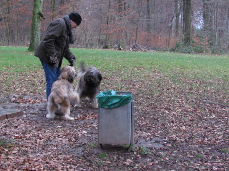 Spaziergang im Essener Wald
