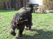 Fr�hjahr 2011