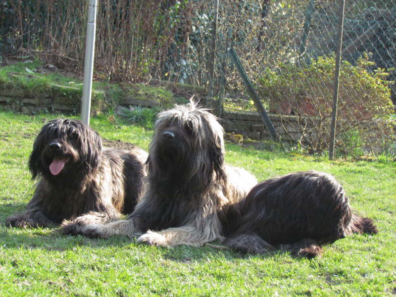 Frhjahr 2011