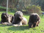 Fr�hjahr 2011