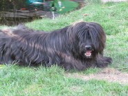 Fr�hjahr 2011