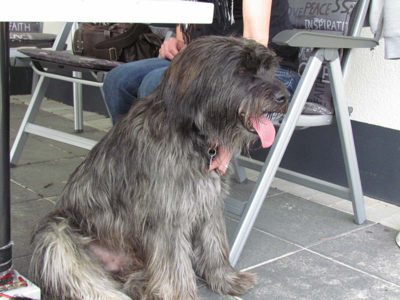 Frühjahr 2012