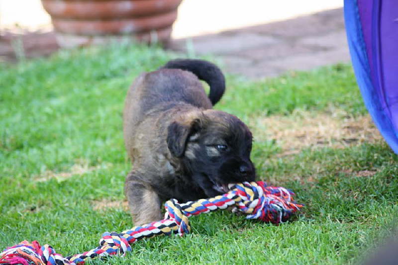 Besuch vom Zonser M�rchenwald