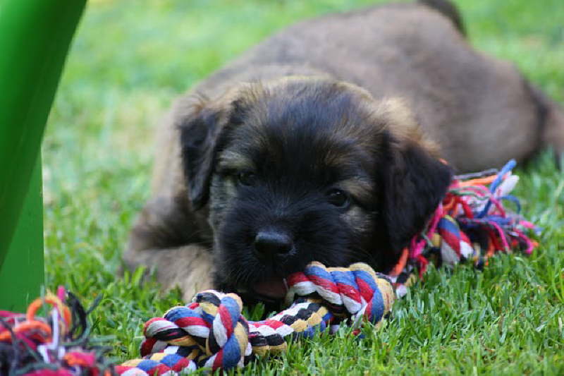 Besuch vom Zonser M�rchenwald