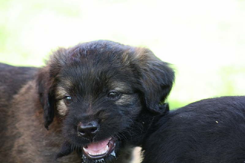 Besuch vom Zonser M�rchenwald