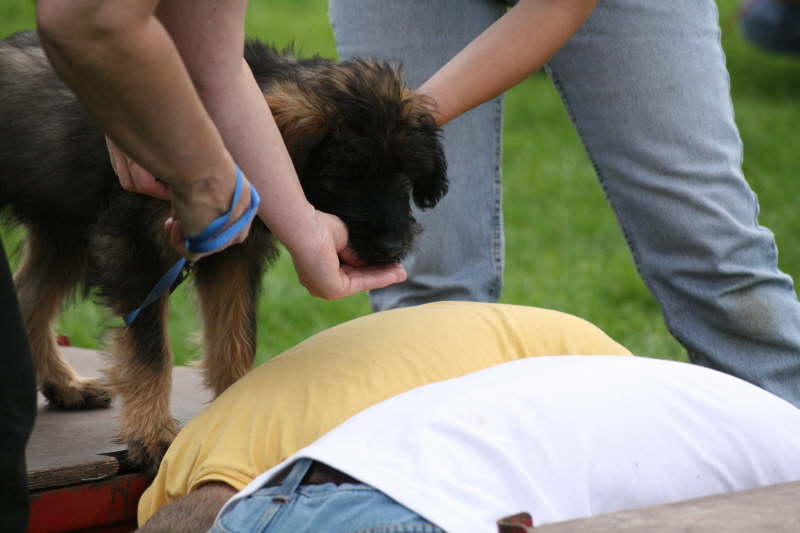 3 te Welpenstunde