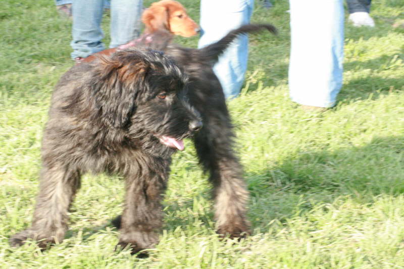 Baika 12 Wochen