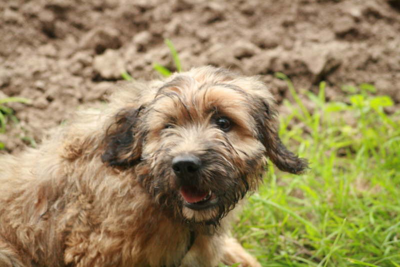 Spaziergang