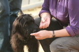 Welpenstunde Fr�ndenberg