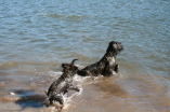 Schwimmen lernen