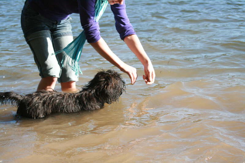 Schwimmen lernen