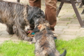 Spiel mit Mutter und Schwester