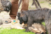 Spiel mit Mutter und Schwester