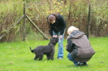 Welpenschule Aplerbeck