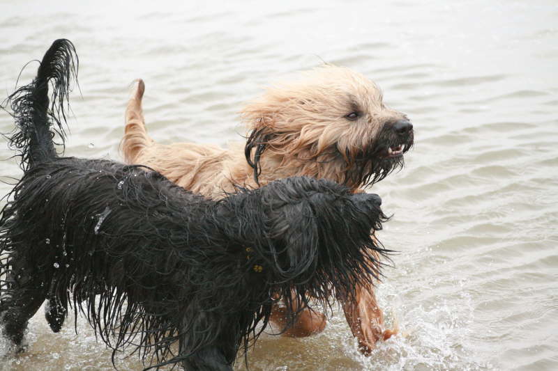 Tiesto und Baika